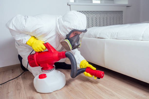 Best Spider Control Near Me  in Norwalk, OH