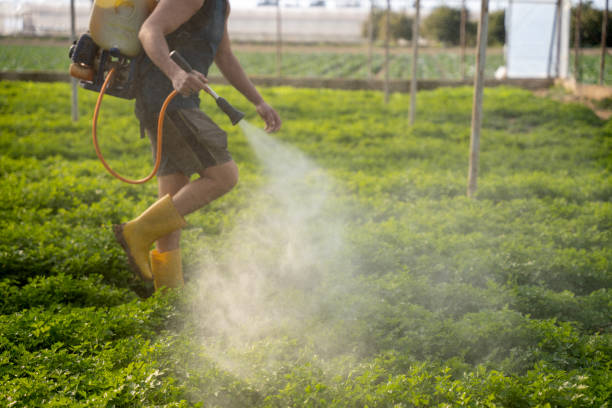 Best Affordable Pest Control Services  in Norwalk, OH